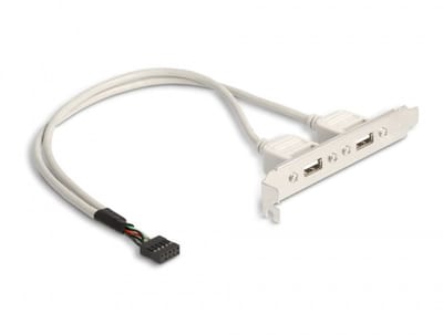 DeLOCK USB Panel - 10 pin USB Header to USB - 30 cm