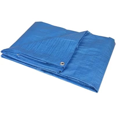 Sencys Afdekzeil Polyethyleen Groen/blauw 3x4m