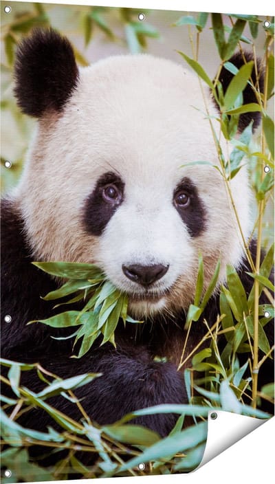 Gards Tuinposter Panda Eet Planten - 80x120 cm - Tuindoek - Tuindecoratie - Wanddecoratie buiten - Tuinschilderij