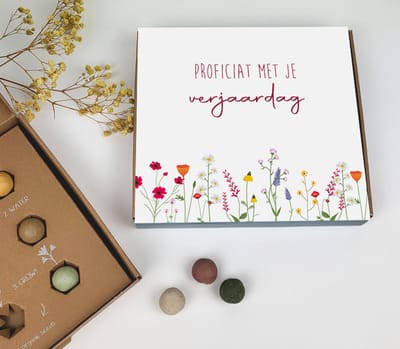 Bloembommetjes - Zaadjes - Bloemen - Cadeau verjaardag - bloemetjes - Proficiat met je verjaardag - verjaardagscadeau - Zaad - Bloemen