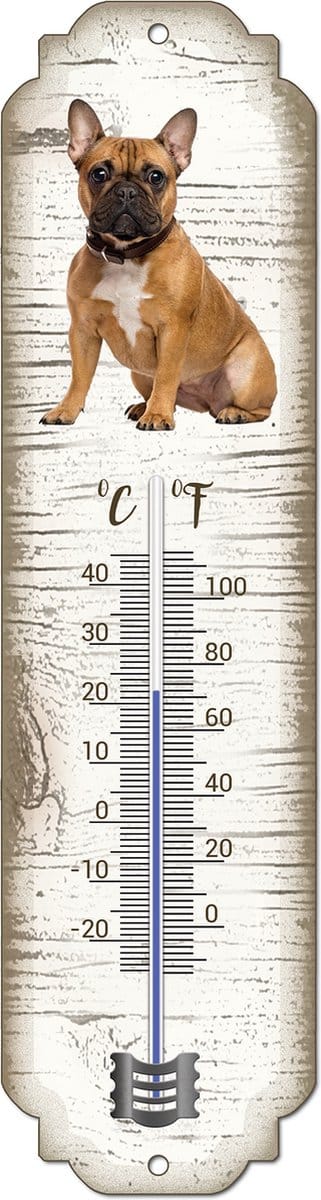 Thermometer: Bulldog | Hondenras | Temperatuur binnen en buiten | -25 tot +45C