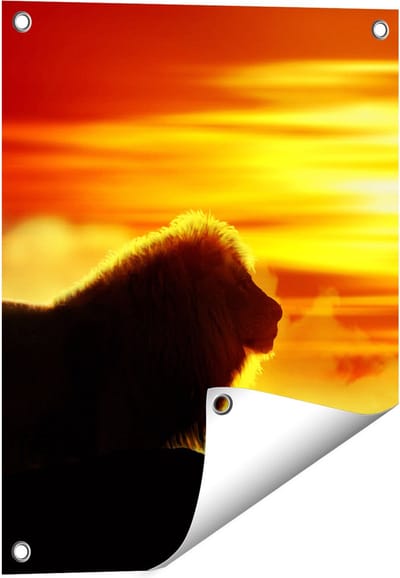 Gards Tuinposter Leeuw en Tijger - Silhouet - Zonsopkomst - 40x50 cm - Tuindoek - Tuindecoratie - Wanddecoratie buiten - Tuinschilderij