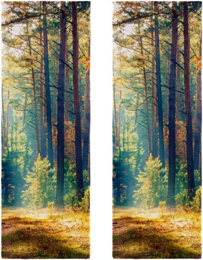 Microvezel Handdoeken - Sneldrogend - Sport en Reizen - Koel en Absorberend - 2 Stuks 29.5x81.5cm - Veelkleurig
