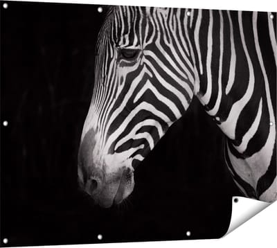 Gards Tuinposter Zebra Kop vanaf de Zijkant - Zwart Wit - 120x90 cm - Tuindoek - Tuindecoratie - Wanddecoratie buiten - Tuinschilderij