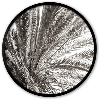 Poster in lijst Rond - Fotolijst 40x40 cm - Posters - Palmboom - Tropisch - Zwart - Wit - Ronde posterlijst zwart - Decoratie - Wanddecoratie woonkamer - Muurdecoratie slaapkamer