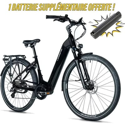 Elektrische fiets Leader Fox Saga