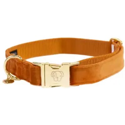 Kentucky Dogwear - Hondenhalsband - Velvet - Oranje - 25-38 cm - XS - Hondenriem