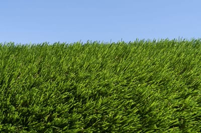 Kunstgras 2 x 18 meter - 40mm ✅ Nederlandse Productie - Uitgeroepen zachtste Grastapijt ✅ Waterdoorlatend | Tuin | Kind | Dier