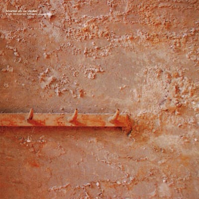 Maarten van der Vleuten - High Intolerance Towards Low Energies (LP)