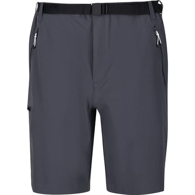 Regatta Heren Xert III Stretch Shorts (Afdichting Grijs)