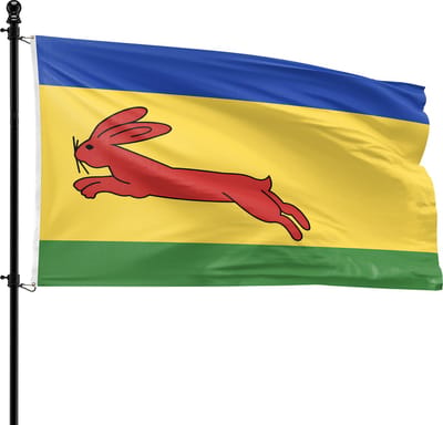 VlagDirect - Gaasterlandse vlag - Regio Gaasterland vlag - 90 x 150 cm.