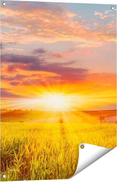 Gards Tuinposter Zonsopgang op het Ma�sveld - 60x80 cm - Tuindoek - Tuindecoratie - Wanddecoratie buiten - Tuinschilderij
