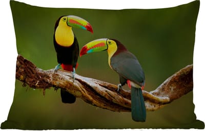 Buitenkussens - Tuin - Vogels - Toekan - Tak - Dieren - Regenboog - 50x30 cm