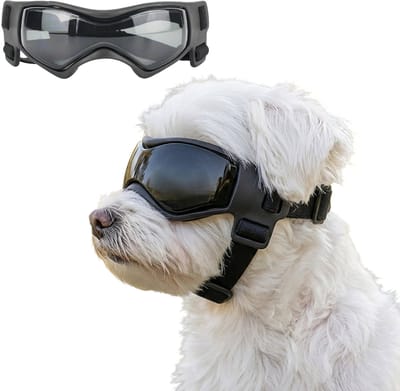 MAGICSHE Hondenbril Met Verstelbare Elastische Band - Zonnebril Hond Uv Voor Kleine En Middelgrote Honden Zwart S