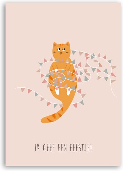 Uitnodiging kinderfeestje - 12 stuks - Enkele kaart - Verjaardagsfeestje katten illustratie
