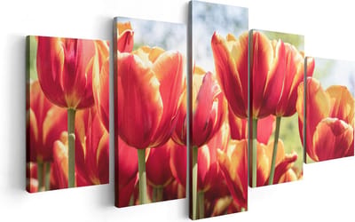 Artaza Canvas Schilderij Vijfluik Oranje Rode Tulpen  - 100x50 - Foto Op Canvas - Canvas Print