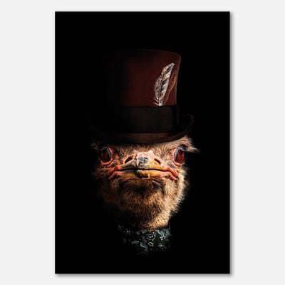 Poster op papier - 40 x 60 cm - Struisvogel met hoge hoed en veer - PosterJunkie