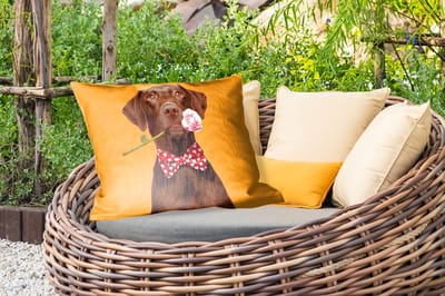 Buitenkussens - Hond - Oranje - Roos - Valentijn - 60x40 cm - Weerbestendig