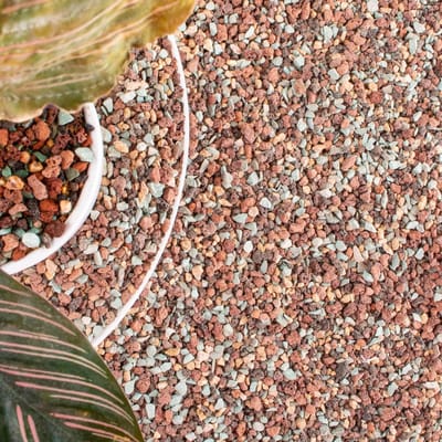 Mix Lavastenen voor Planten - Grind Kiezels voor Bonsai, Succulente en Cactus Potgrond