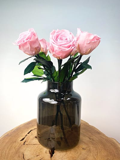 Longlife Rozenbos (5 stuks) incl. gratis vaas | Perfect als cadeau voor Valentijnsdag | Roze