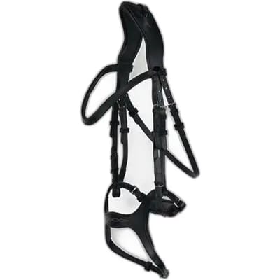 Horze Peckham Anatomisch Hoofdstel met borduursel, Black, Vollblut