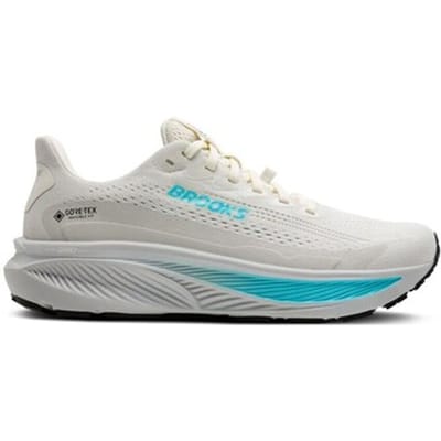Brooks Ghost 17 GTX Hardloopschoenen Dames