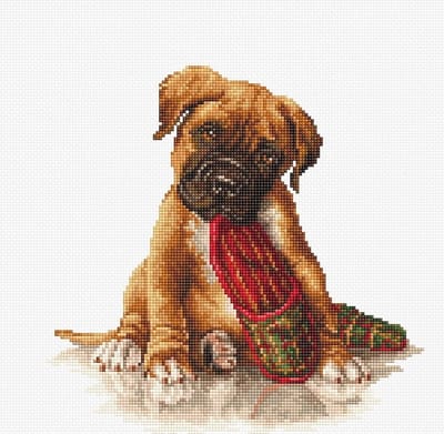 Borduurpakket Luca-s borduurpakket Boxer borduren B2338