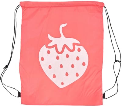 Dailygoods- Koeltas - Thermisch Geïsoleerd - Lunchtas - Rugzak - Waterafstotend - Onderhoudsvriendelijk Polyester - Afmetingen 41 x 34 cm