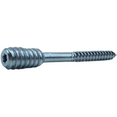 Sencys Spaanplaatschroef Staal Torx T25 - 6x80mm - 2 Stuks