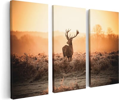 Artaza Canvas Schilderij Drieluik Hert In De Wei Tijdens De Zonsopkomst - 120x80 cm - Wanddecoratie Woonkamer - Schilderijen - Muurdecoratie