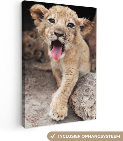 Canvas Schilderij Welp - Leeuwen - Schattig - 40x60 cm - Wanddecoratie