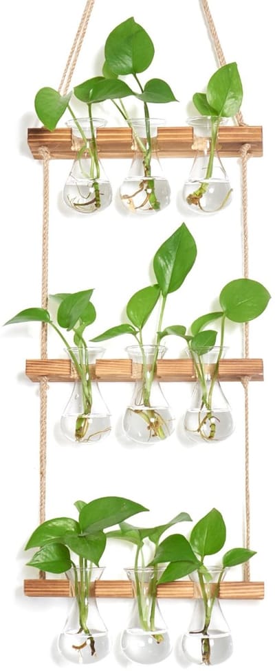 Dailygoods- Vazen met standaard - 3-laags Plantenvermeerderingsstation - Hangplant Hanger - Kamerplanten Accessoires - Hoogwaardig Borosilicaatglas - Scandinavisch Design - Plantenhanger