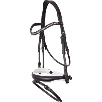 Anatomische hoofdstellen BR Equitation Southam