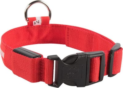 Smartphonica LED lichtband - Lichtgevend - Hondenhalsband - Inclusief Batterijen - Rood - L