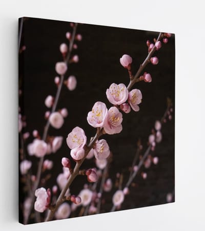 Saammp Canvas Schilderij - Roze bloesem aan tak - bloemen - 20x20 - Foto op canvas - Wanddecoratie - Muurdecoratie Woonkamer - Kantoor Decoratie