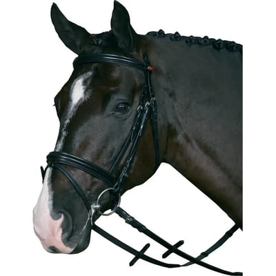 Hoofdstellen met supergrip HorseGuard
