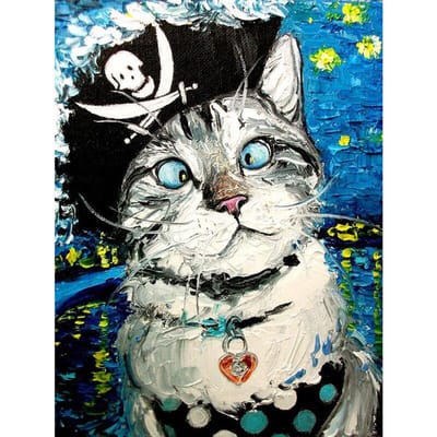 Broderie Diamant Forage Rond Complet Chat Pirate Silencieux Peinture Diamant DIY Point de Croix Strass 20X30CM