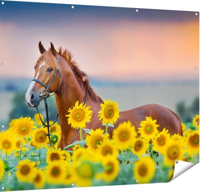 Gards Tuinposter Bruin Paard tussen de Zonnebloemen - 150x120 cm - Tuindoek - Tuindecoratie - Wanddecoratie buiten - Tuinschilderij