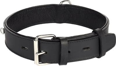 Flamingo Seattle Gevoerd;breed - Halsband Honden - Halsband Seattle Zwart Xl 52-64cm 40mm - 1st - 124400 - 1st