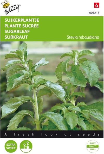 Buzzy® Specialties Stevia Rebaudiana