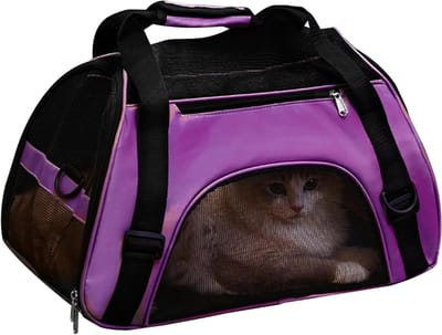 Honden Katten Draagtas - Reisbench Kat Hond - Huisdier Transport - Geïntegreerde Koeltechnologie - 53x36x26cm - Paars