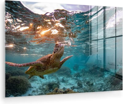 MuchoWow® Glasschilderij 150x100 cm - Schilderij acrylglas - Zee - Schildpad - Kleuren - Foto op glas - Muurdecoratie woonkamer - Wanddecoratie slaapkamer - Schilderijen