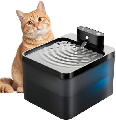 Ploutos® Drinkfontein Kat - Kattenfontein - Waterfontein Huisdieren - Zwart - 18cm x 16cm x 15cm