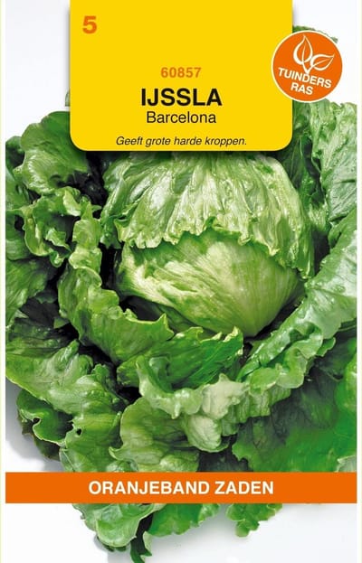 Oranjebandzaden -  IJssla Barcelona