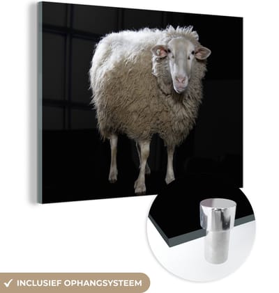 MuchoWow® Glasschilderij 160x120 cm - Schilderij acrylglas - Schaap - Boerderijdieren - Zwart - Foto op glas - Schilderijen