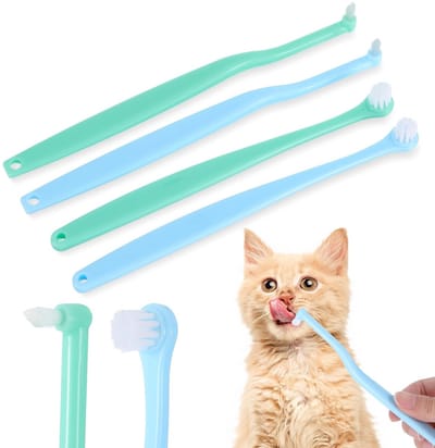 Dailygoods- Kattentandenborstel - 4 Stuks - Zachte Nylon - Tandheelkundige Verzorging - Ronde/Puntige Kop - Behoud Mondgezondheid - Lichtgewicht - Hondentandenborstel