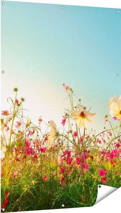 Gards Tuinposter Kosmos Bloemenveld met een Opkomende Zon - 100x150 cm - Tuindoek - Tuindecoratie - Wanddecoratie buiten - Tuinschilderij
