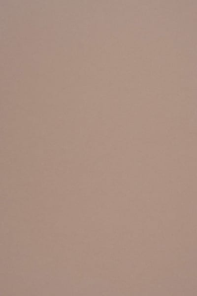 Netuno - bruin ecologisch papier - A4 - 21 x 29,7 cm - 10 vellen - 250 gram - Crush Almond