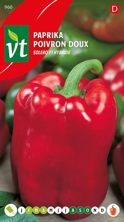 Paprika Solero/Asti Red F1 hybride Zaden - Dikvlezige, grote en geblokte vruchten