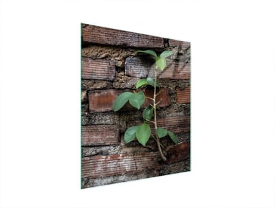 TMK ArtDeko Serie - Snijplank 45x52 cm - Ceglast Kleur - Veilig en Hygiënisch